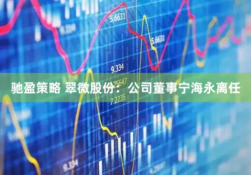 驰盈策略 翠微股份：公司董事宁海永离任
