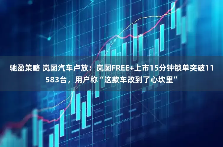 驰盈策略 岚图汽车卢放：岚图FREE+上市15分钟锁单突破11583台，用户称“这款车改到了心坎里”