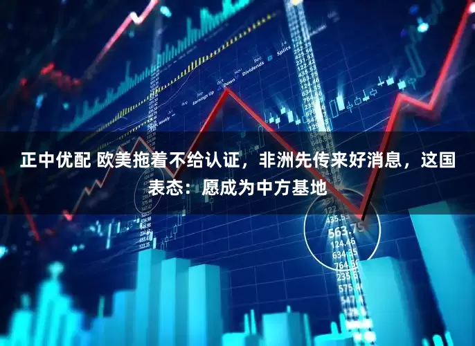 正中优配 欧美拖着不给认证，非洲先传来好消息，这国表态：愿成为中方基地